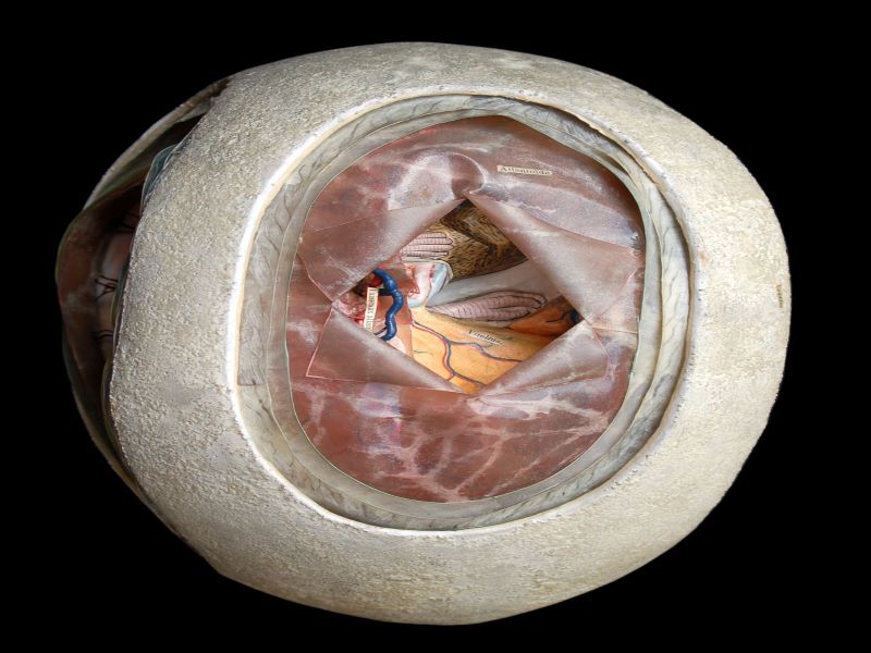 Anatomie clastique_1